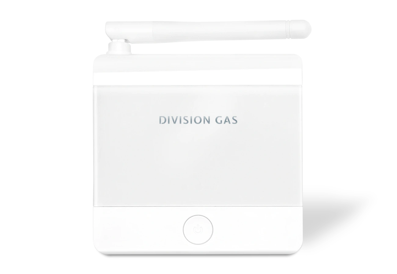 Receptor DG19 wi-fi white vedere frontala