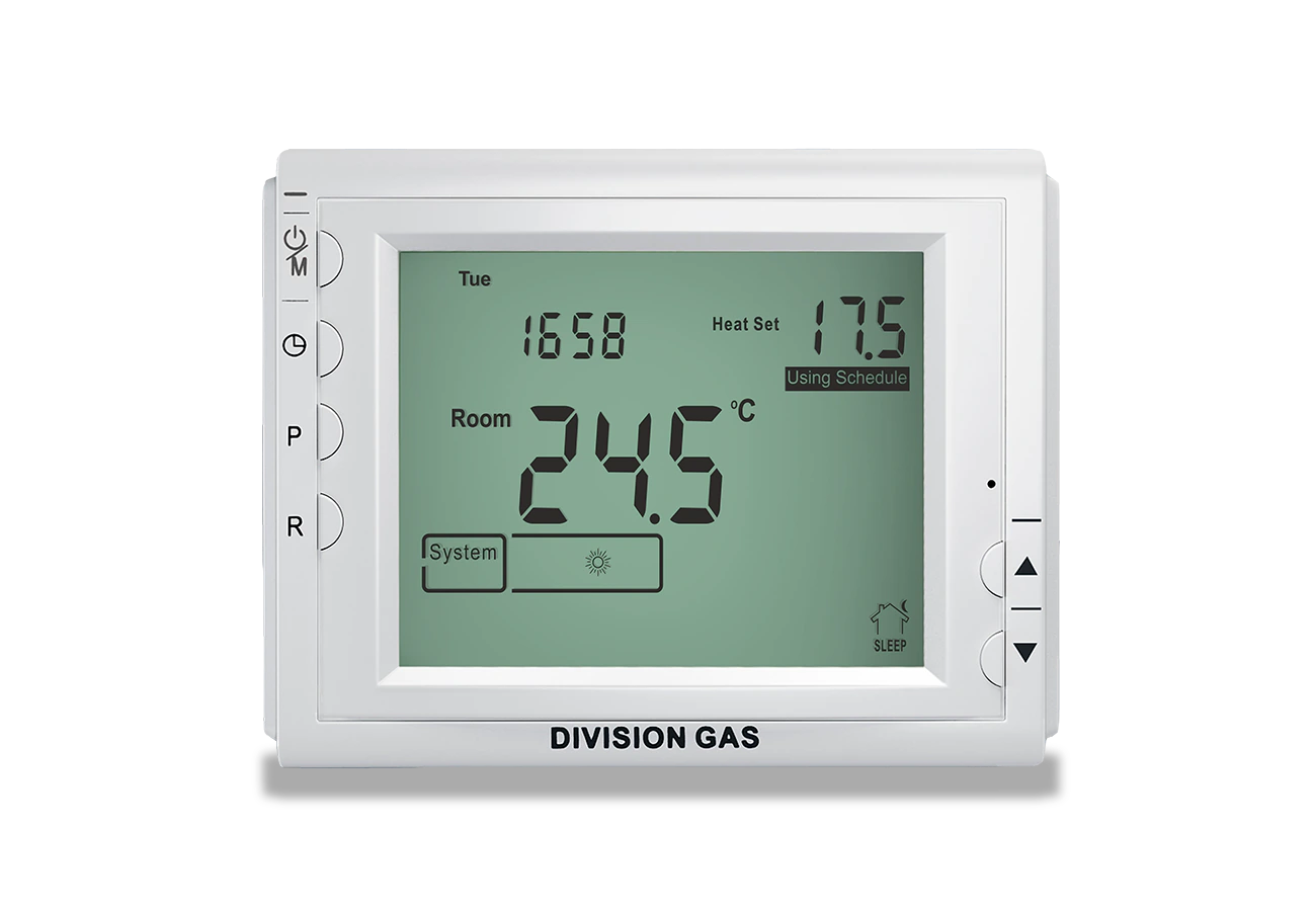 Termostat ambiental programabil DG909 vedere fata