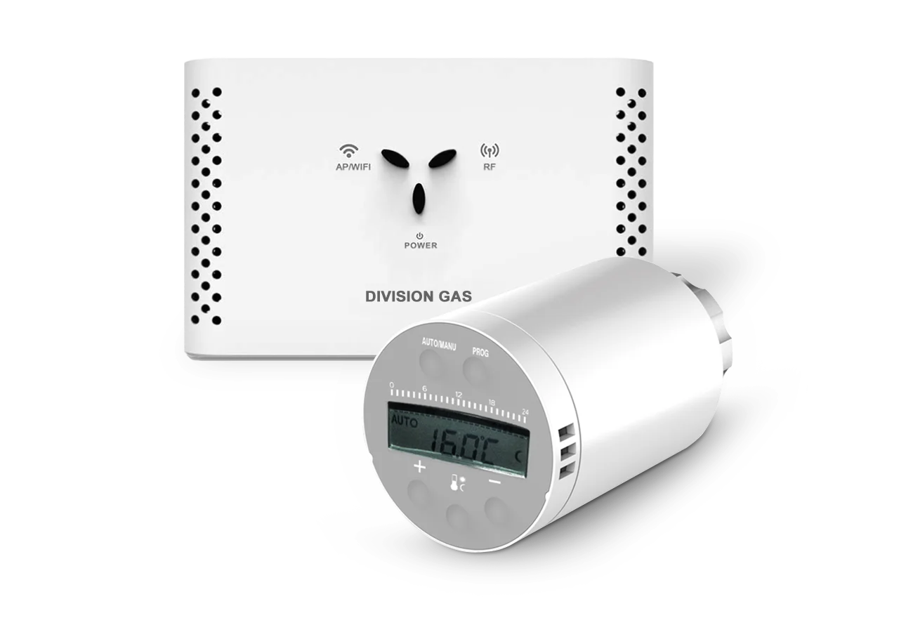 DG801 cu unitate de control DGWG compatibila