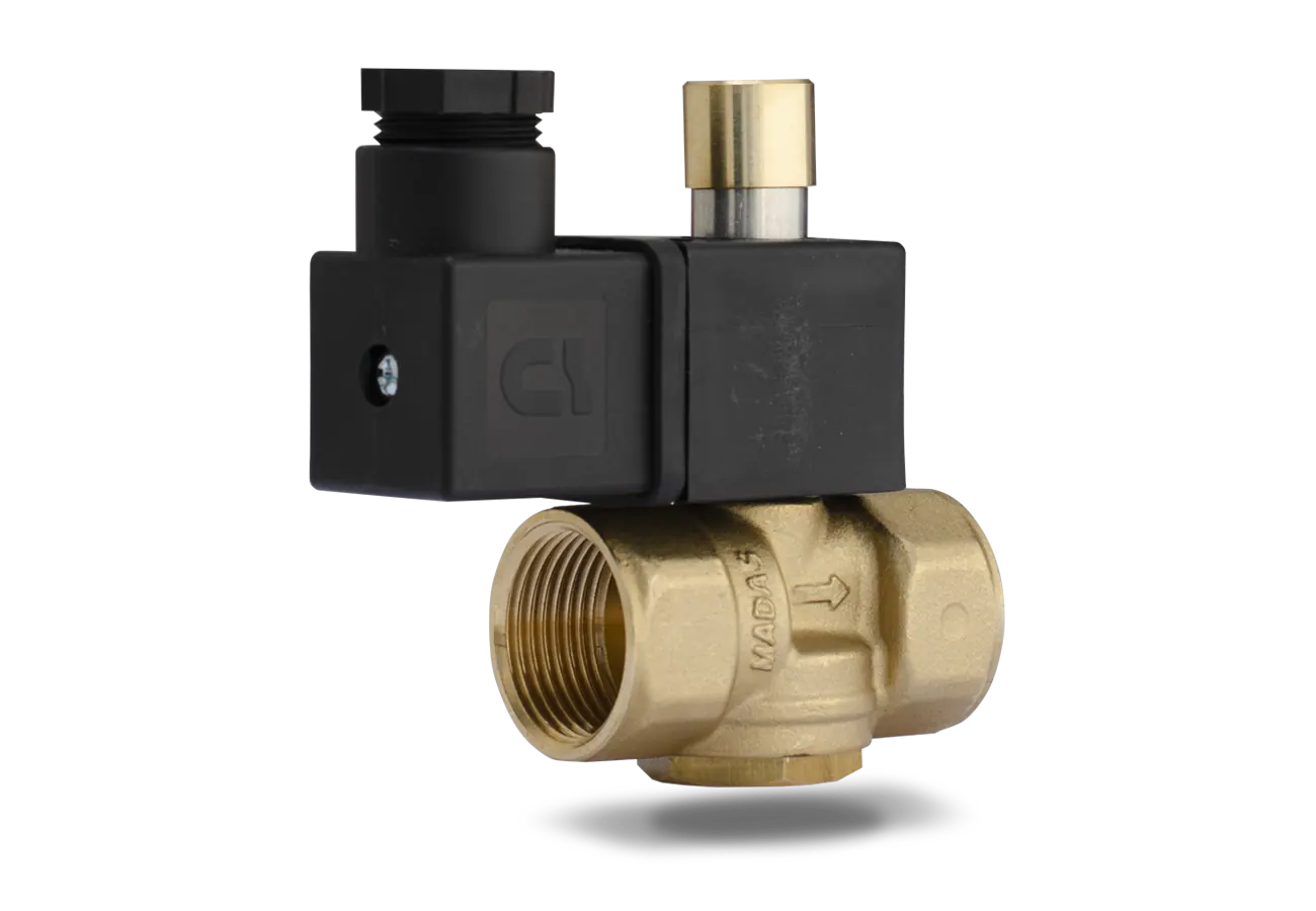 Solenoid valve for methane gas DN20 RAO03